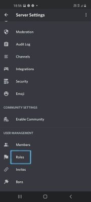 how to make roles in discord (10)