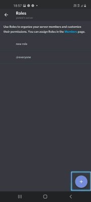 how to make roles in discord (11)