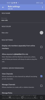 how to make roles in discord (12)