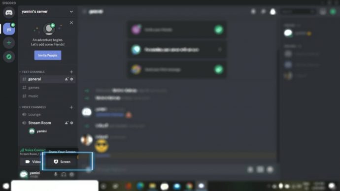 how to screen share on discord (2)