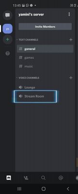how to screen share on discord (6)