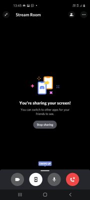 how to screen share on discord (9)