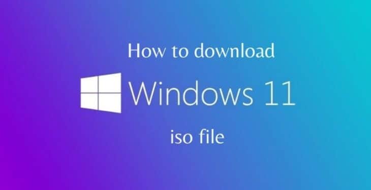 How to download windows 11 iso file