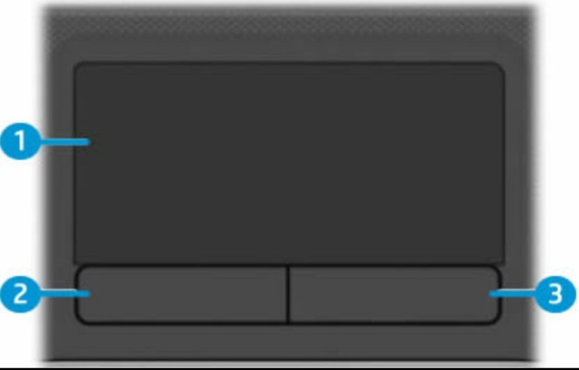 How To Fix the HP Touchpad Not Working? - StuffRoots