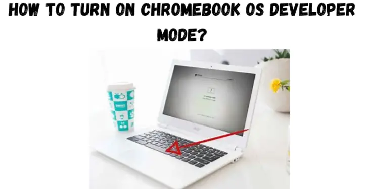 How to Turn on Chromebook OS Developer Mode?