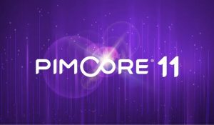 How to Choose the Right Pimcore Service Provider for Your Project