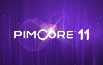 How to Choose the Right Pimcore Service Provider for Your Project